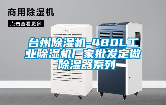 台州香蕉视频国产APP下载机-480L工业香蕉视频国产APP下载机厂家批发定做 香蕉视频国产APP下载器系列