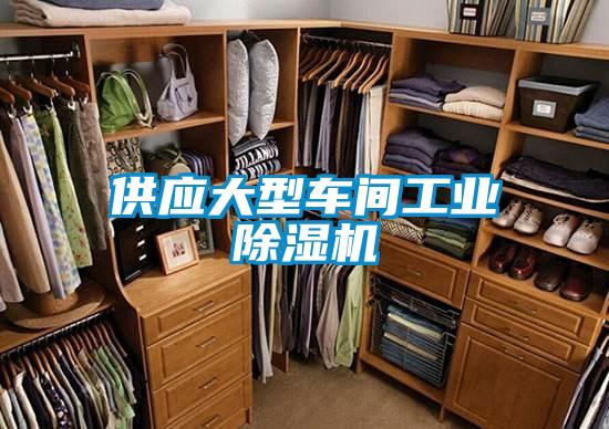 供应大型车间工业香蕉视频国产APP下载机