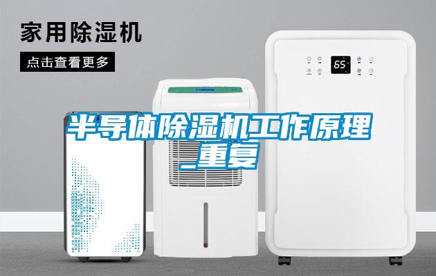 半导体香蕉视频国产APP下载机工作原理_重复