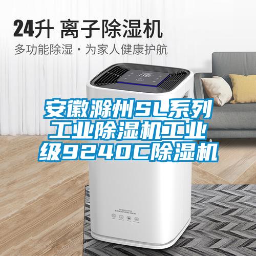 安徽滁州SL系列工业香蕉视频国产APP下载机工业级9240C香蕉视频国产APP下载机