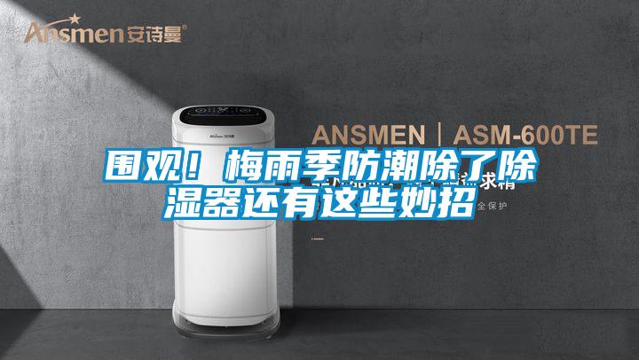 围观！梅雨季防潮除了香蕉视频国产APP下载器还有这些妙招