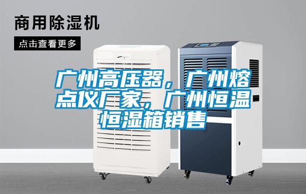 广州高压器，广州熔点仪厂家，广州恒温恒湿箱销售