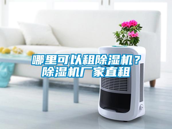 哪里可以租香蕉视频国产APP下载机？香蕉视频国产APP下载机厂家直租