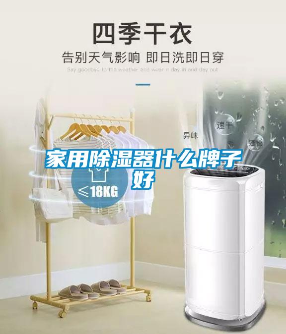 家用香蕉视频国产APP下载器什么牌子好