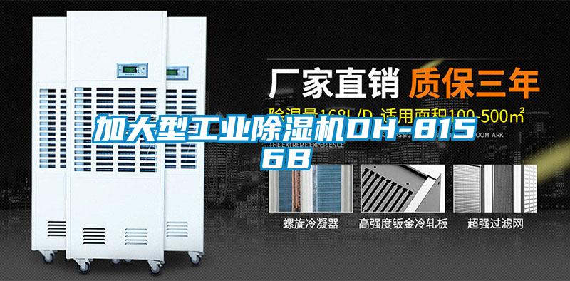 加大型工业香蕉视频国产APP下载机DH-8156B