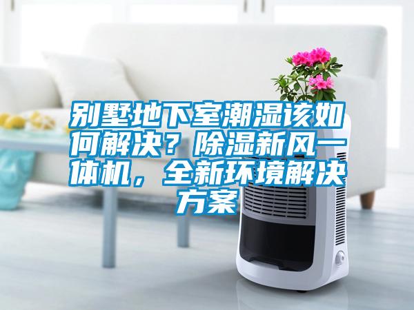 别墅地下室潮湿该如何解决？香蕉视频国产APP下载新风一体机，全新环境解决午夜香蕉视频