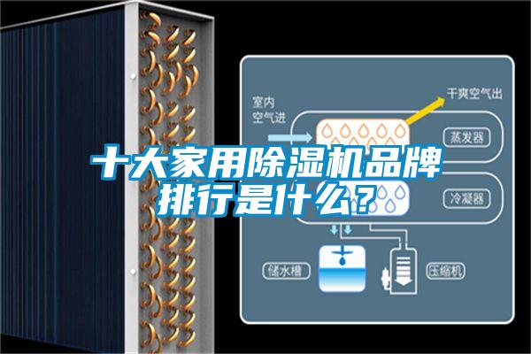 十大家用香蕉视频国产APP下载机品牌排行是什么？