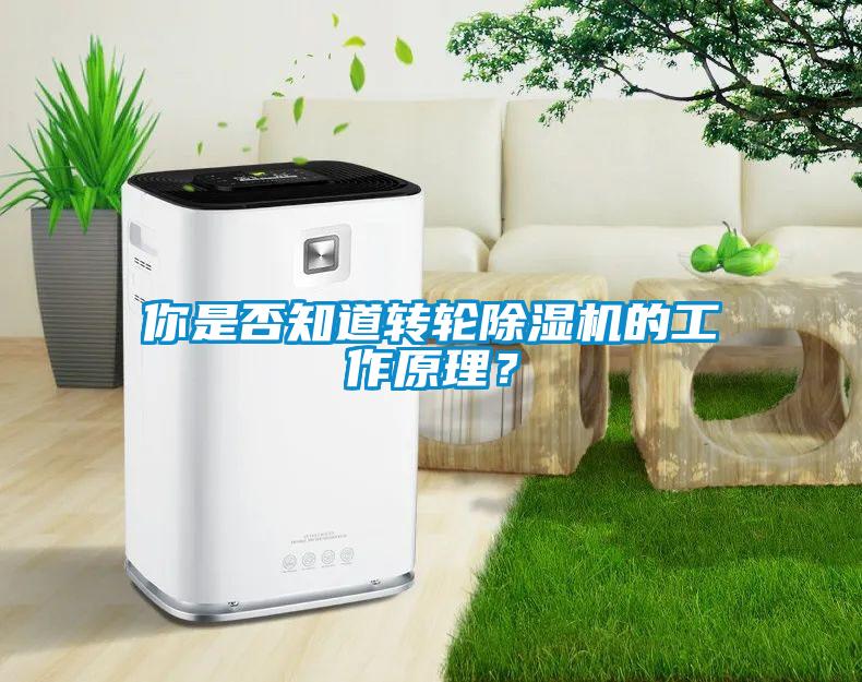 你是否知道转轮香蕉视频国产APP下载机的工作原理？