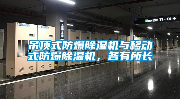 吊顶式防爆香蕉视频国产APP下载机与移动式防爆香蕉视频国产APP下载机，各有所长