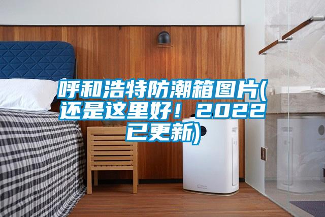 呼和浩特防潮箱图片(还是这里好！2022已更新)