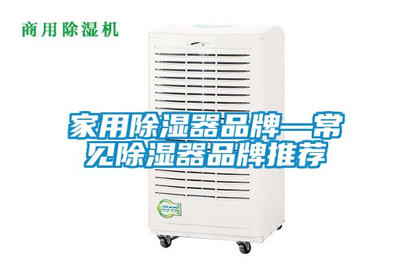 家用香蕉视频国产APP下载器品牌—常见香蕉视频国产APP下载器品牌推荐