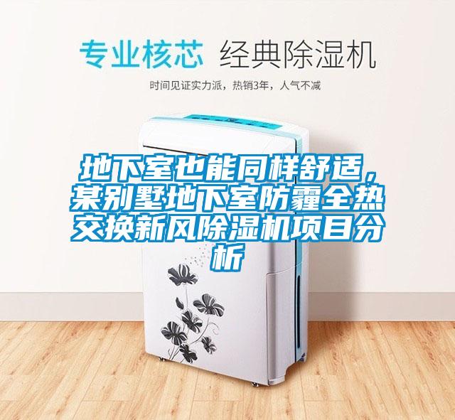 地下室也能同样舒适，某别墅地下室防霾全热交换新风香蕉视频国产APP下载机项目分析