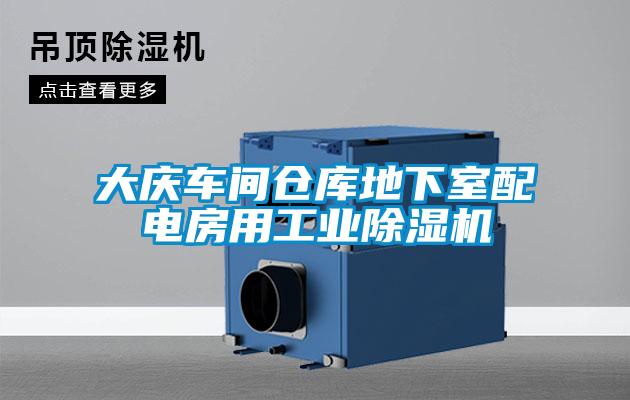 大庆车间仓库地下室配电房用工业香蕉视频国产APP下载机