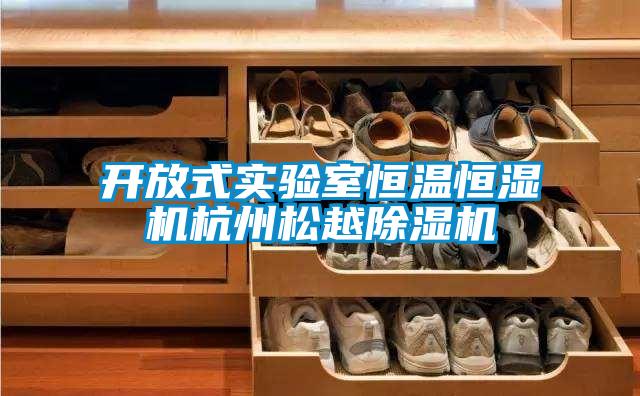 开放式实验室恒温恒湿机杭州松越香蕉视频国产APP下载机