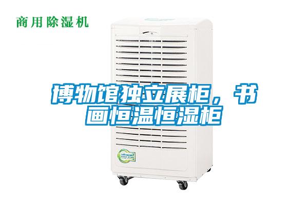 博物馆独立展柜，书画恒温恒湿柜
