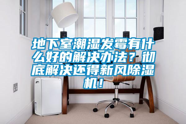地下室潮湿发霉有什么好的解决办法？彻底解决还得新风香蕉视频国产APP下载机！
