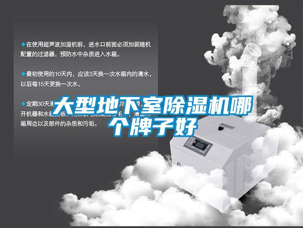 大型地下室香蕉视频国产APP下载机哪个牌子好