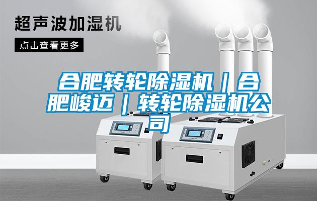 合肥转轮香蕉视频国产APP下载机｜合肥峻迈｜转轮香蕉视频国产APP下载机公司
