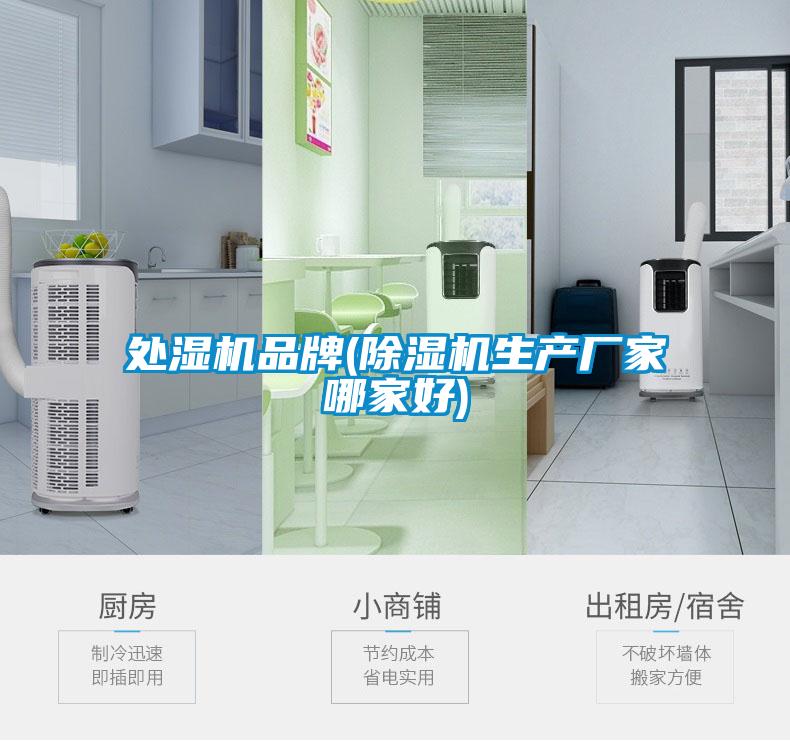 处湿机品牌(香蕉视频国产APP下载机生产厂家哪家好)
