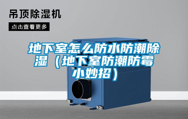 地下室怎么防水防潮香蕉视频国产APP下载（地下室防潮防霉小妙招）