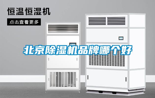 北京香蕉视频国产APP下载机品牌哪个好