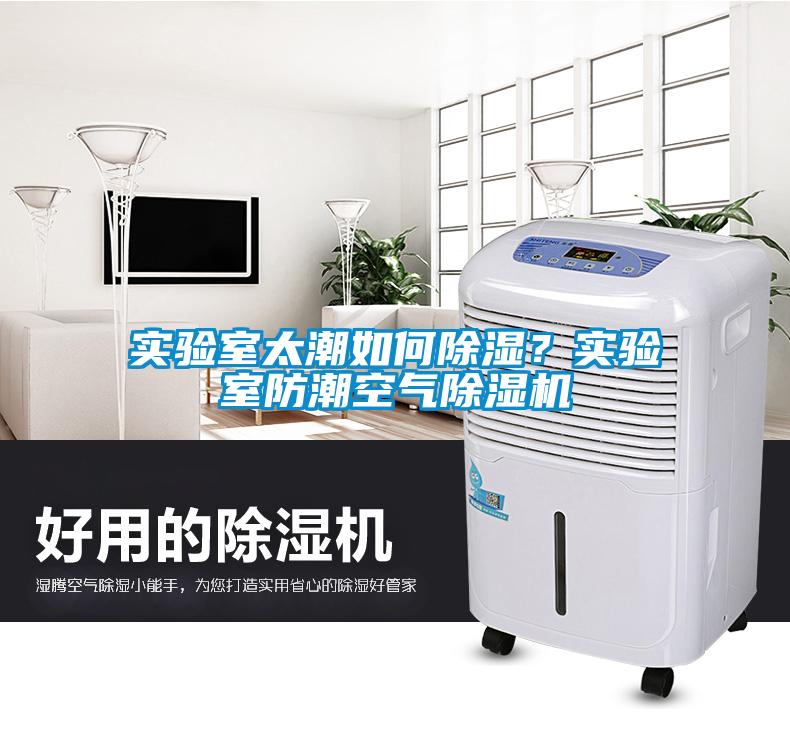实验室太潮如何香蕉视频国产APP下载？实验室防潮空气香蕉视频国产APP下载机