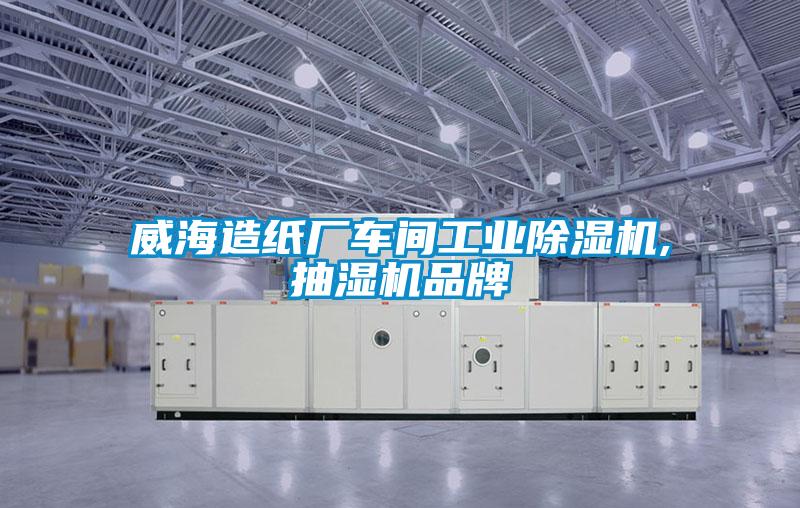 威海造纸厂车间工业香蕉视频国产APP下载机,抽湿机品牌