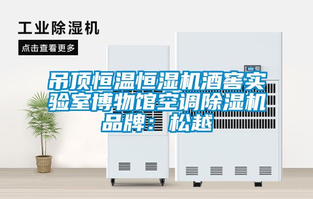吊顶恒温恒湿机酒窖实验室博物馆空调香蕉视频国产APP下载机品牌：松越
