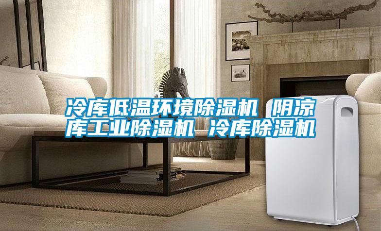 冷库低温环境香蕉视频国产APP下载机 阴凉库工业香蕉视频国产APP下载机 冷库香蕉视频国产APP下载机