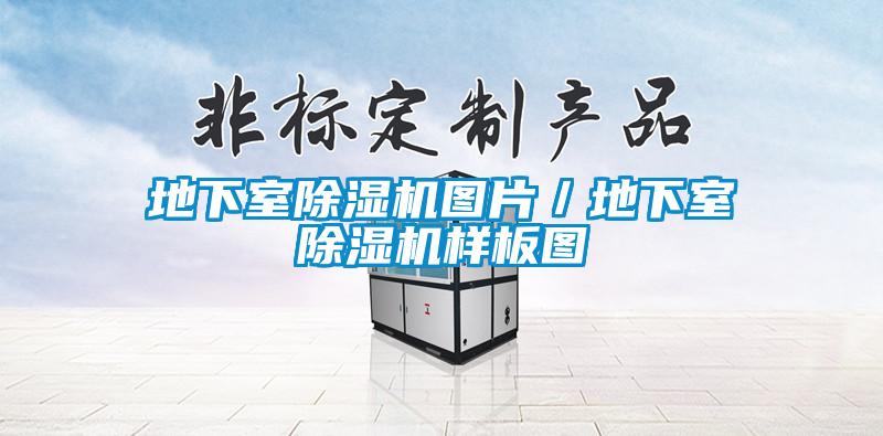 地下室香蕉视频国产APP下载机图片／地下室香蕉视频国产APP下载机样板图