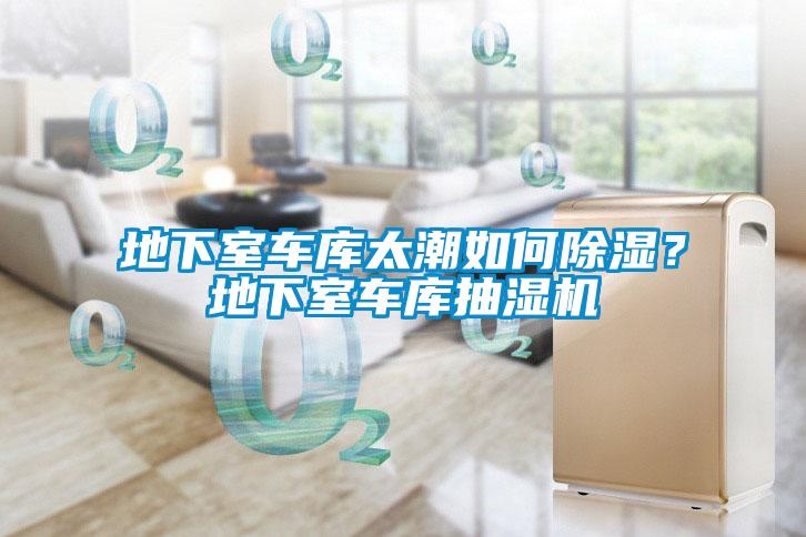 地下室车库太潮如何香蕉视频国产APP下载？地下室车库抽湿机