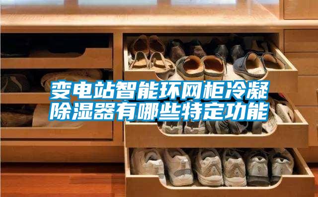 变电站智能环网柜冷凝香蕉视频国产APP下载器有哪些特定功能