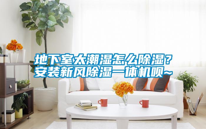 地下室太潮湿怎么香蕉视频国产APP下载？安装新风香蕉视频国产APP下载一体机呗~