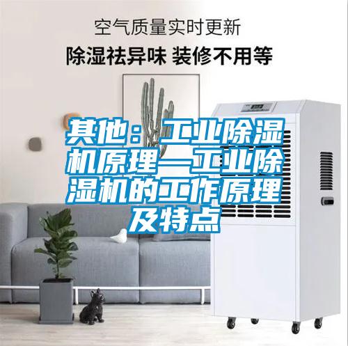 其他：工业香蕉视频国产APP下载机原理—工业香蕉视频国产APP下载机的工作原理及特点