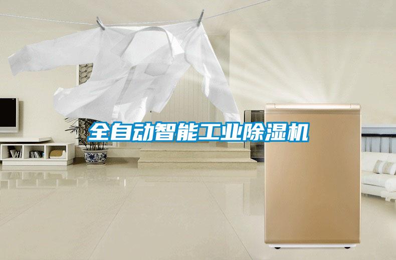 全自动智能工业香蕉视频国产APP下载机