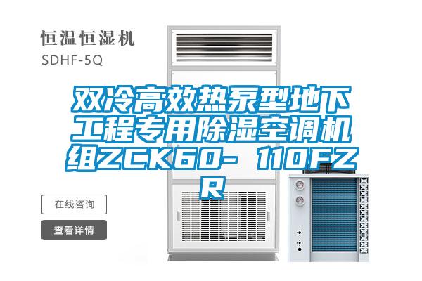 双冷高效热泵型地下工程专用香蕉视频国产APP下载空调机组ZCK60- 110FZR