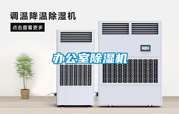 办公室香蕉视频国产APP下载机