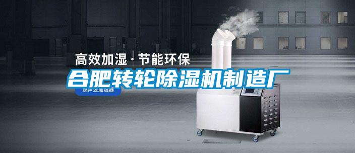 合肥转轮香蕉视频国产APP下载机制造厂