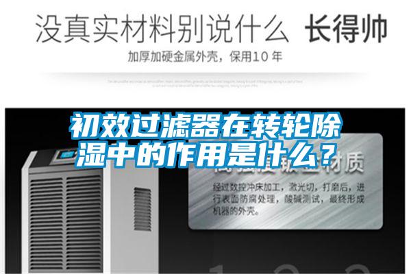 初效过滤器在转轮香蕉视频国产APP下载中的作用是什么？