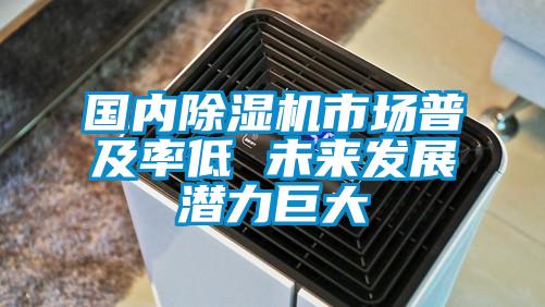 国内香蕉视频国产APP下载机市场普及率低 未来发展潜力巨大