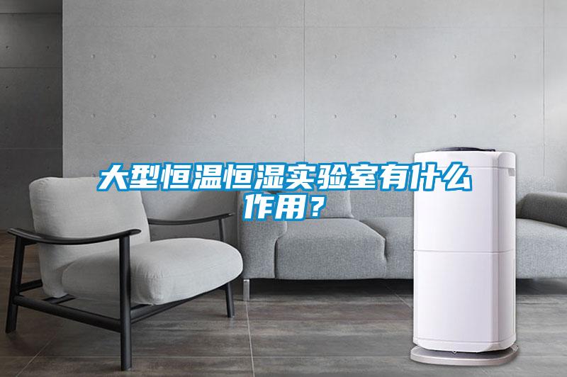 大型恒温恒湿实验室有什么作用？