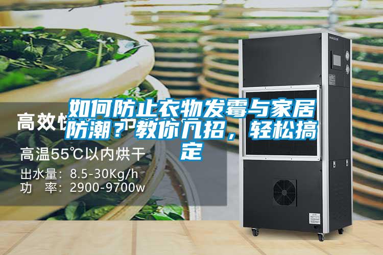 如何防止衣物发霉与家居防潮？教你几招，轻松搞定