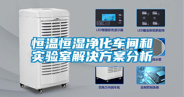 恒温恒湿净化车间和实验室解决午夜香蕉视频分析