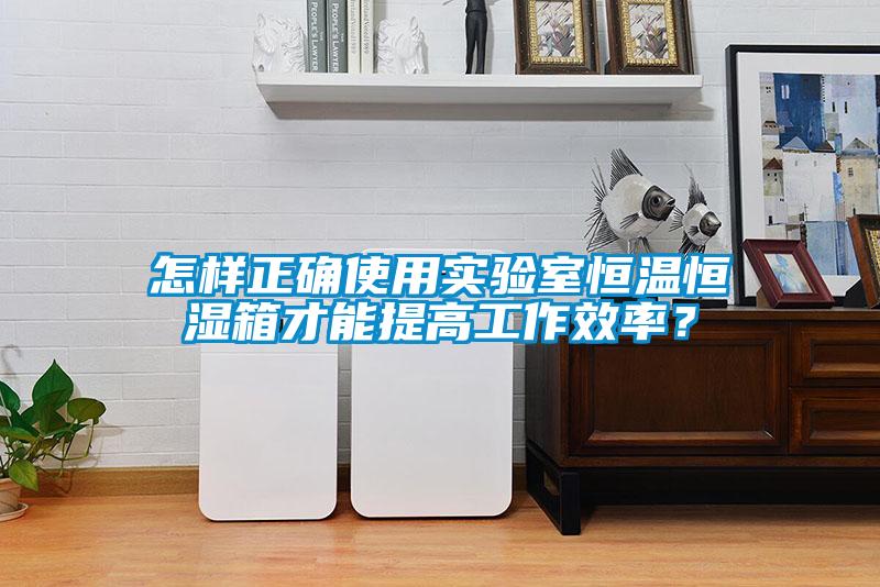 怎样正确使用实验室恒温恒湿箱才能提高工作效率？