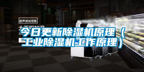 今日更新香蕉视频国产APP下载机原理（工业香蕉视频国产APP下载机工作原理）