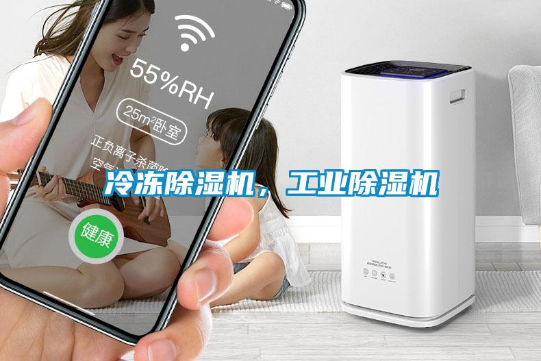 冷冻香蕉视频国产APP下载机，工业香蕉视频国产APP下载机