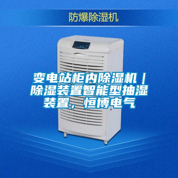 变电站柜内香蕉视频国产APP下载机｜香蕉视频国产APP下载装置智能型抽湿装置，恒博电气