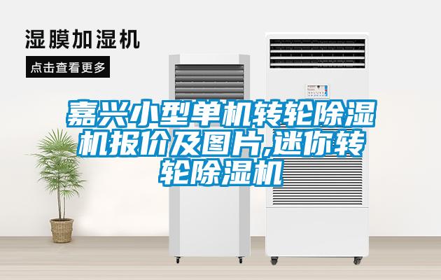 嘉兴小型单机转轮香蕉视频国产APP下载机报价及图片,迷你转轮香蕉视频国产APP下载机