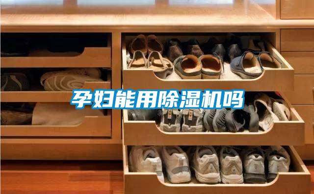 孕妇能用香蕉视频国产APP下载机吗