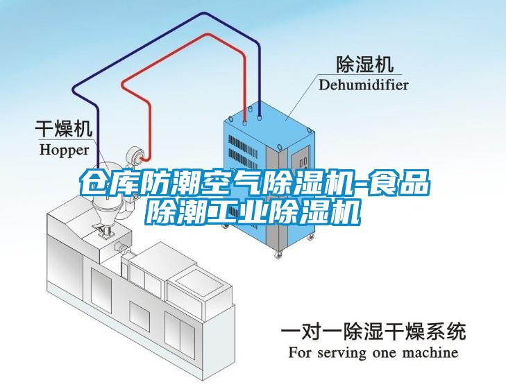 仓库防潮空气香蕉视频国产APP下载机-食品除潮工业香蕉视频国产APP下载机